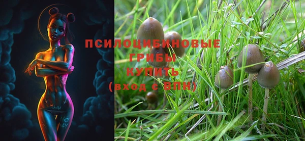 метадон Новодвинск
