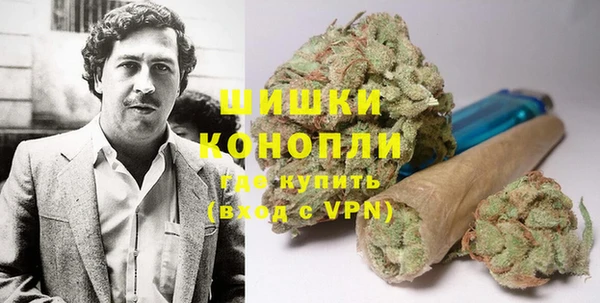 apvp Тайга